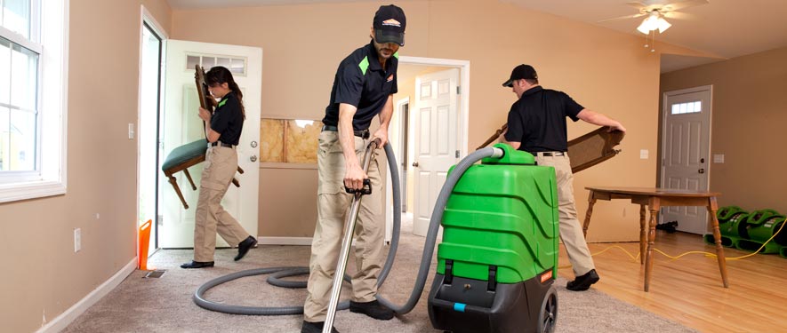 Sevierville, TN cleaning services